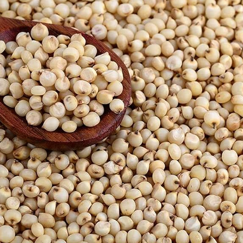 Jowar — commodity image