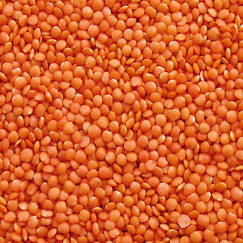 Masoor Dal commodity image