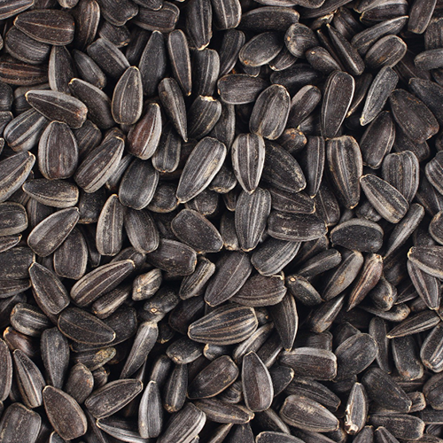 Sunflower Seeds commodity image