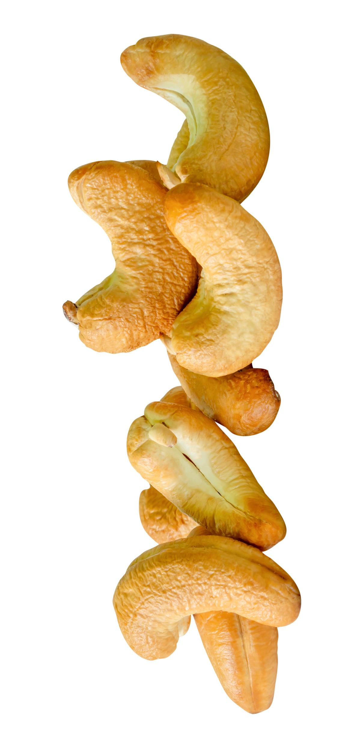 Cashew commodity image