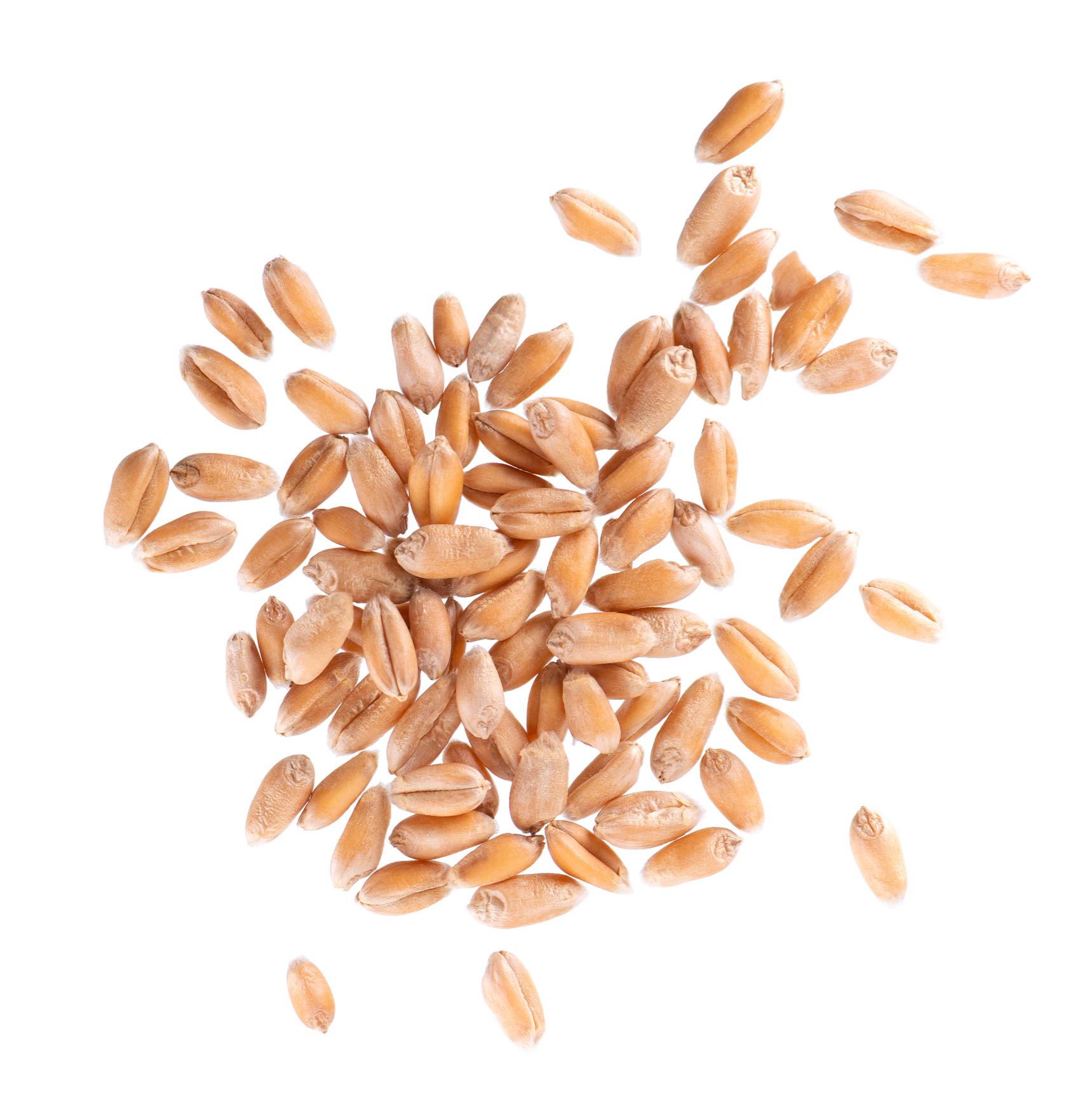 Wheat commodity image