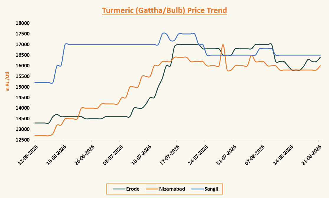 Turmeric (Gattha/Bulb) Price Trend across Erode, Nizamabad, and Sangli