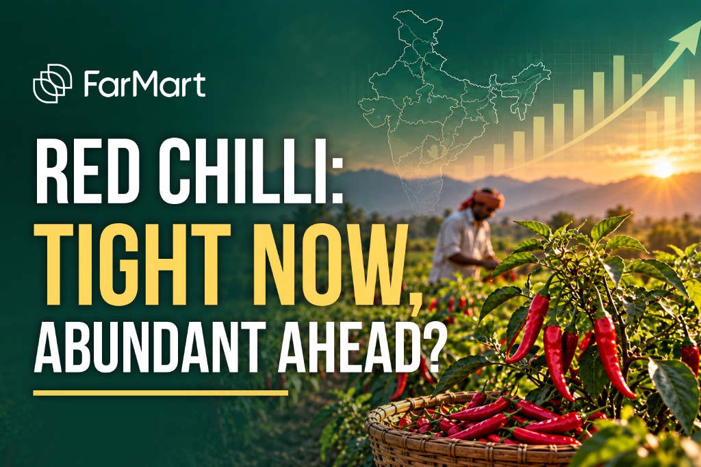 Red chilli: tight now, abundant ahead?