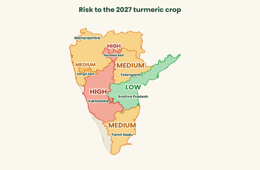 Risk to the 2027 turmeric crop: high in Karnataka and Maharashtra’s Nanded belt, medium in the Sangli belt, Telangana and Tamil Nadu, low in Andhra Pradesh